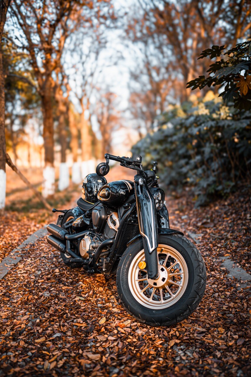 Benda Napoleon 500 Bobber, Phân Phối Chính Hãng, Giá Rẻ Tại Cần Thơ