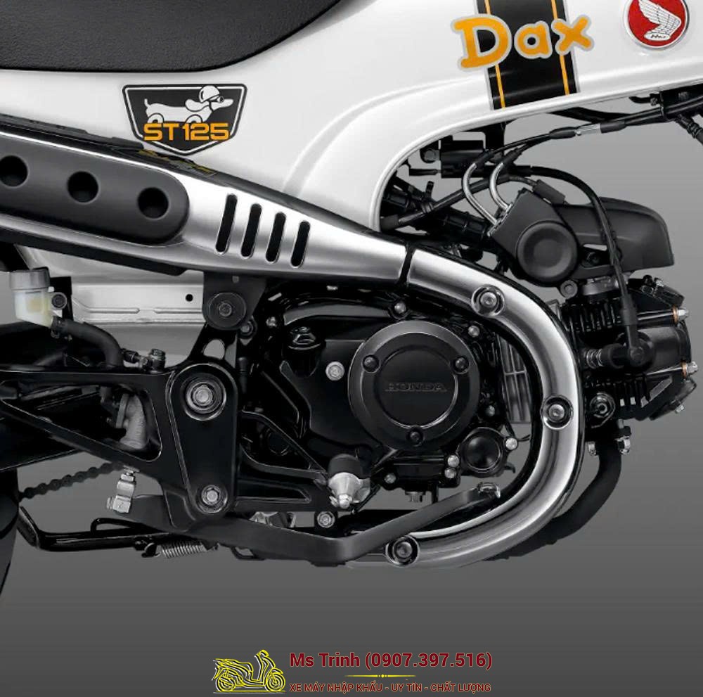 Honda Dax ST125 2026 tại Moto Đồng Tháp - Minibike huyền thoại khung T-Bone đầy cá tính