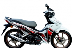 Honda Dash 125 2026 HRC 2026 tại Moto Đồng Tháp - Xe số thể thao mạnh, mượt, giá hợp lý